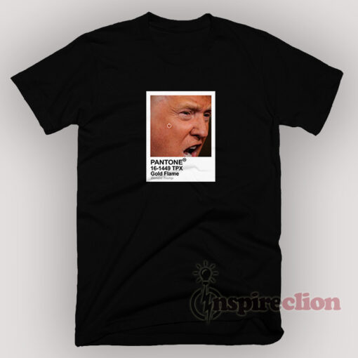 Pantone Clolor Donald Trump Parody Meme T-Shirt