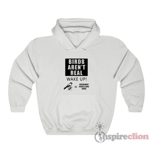 Birds Aren't Real Wake Up Government Surveillance Drone Hoodie