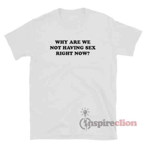 Why Are We Not Having Sex Right Now T-Shirt