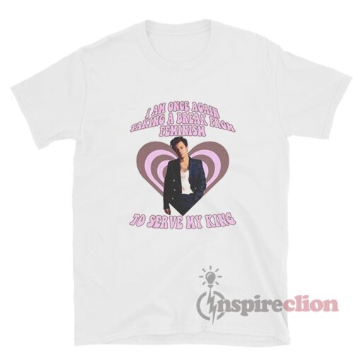 I Am Once Again Taking A Break From Feminism Harry Styles T-Shirt