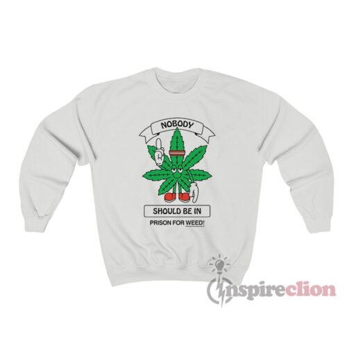 Nobody Should Be In Prison For Weed Cannabis Equity Sweatshirt