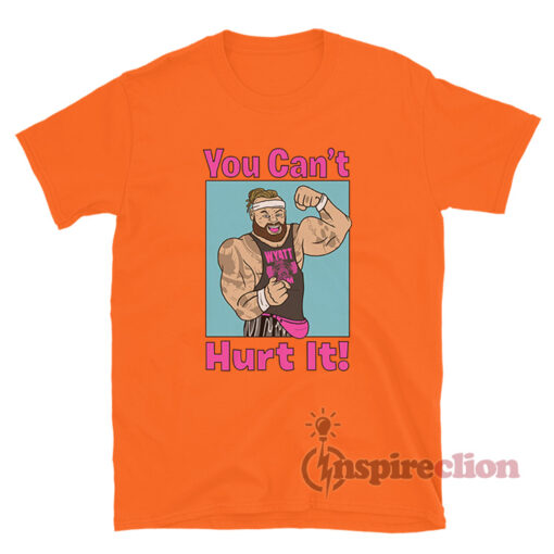 WWE Bray Wyatt You Can't Hurt It T-Shirt