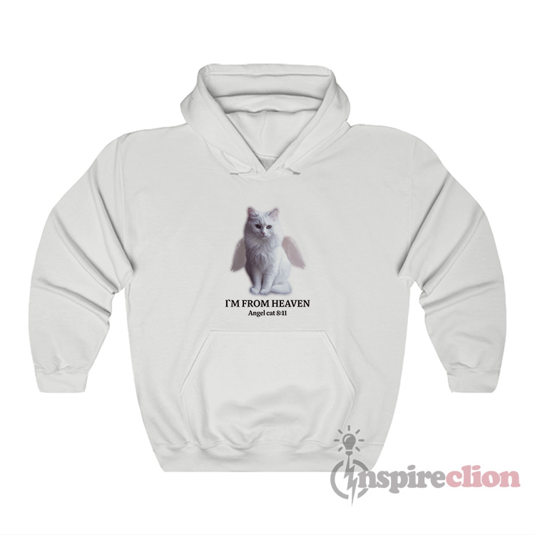 Angel best sale cat hoodie